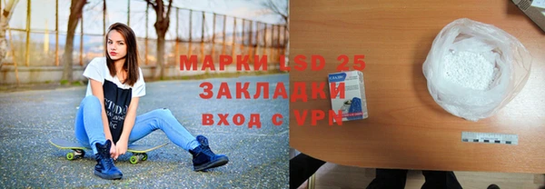 мдпв Краснослободск