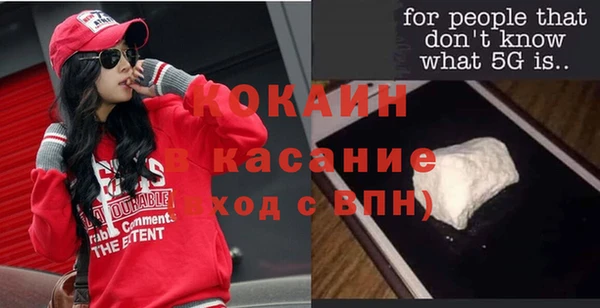 мдпв Краснослободск