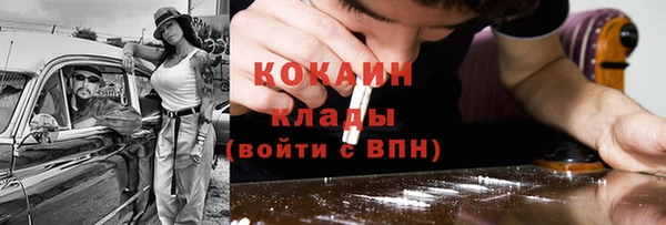 прущие грибы Краснотурьинск