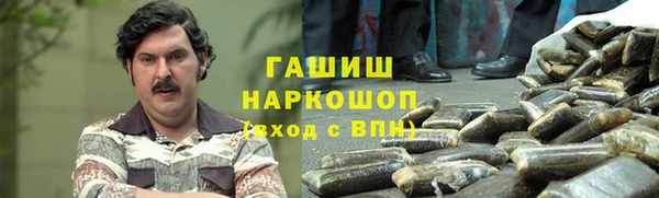 мдпв Краснослободск