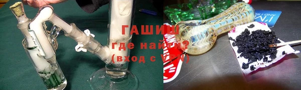 прущие грибы Краснотурьинск