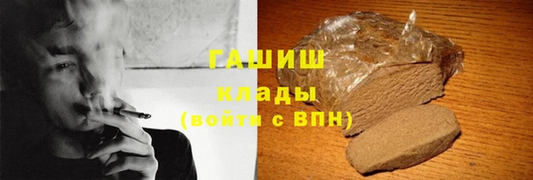 мдпв Краснослободск