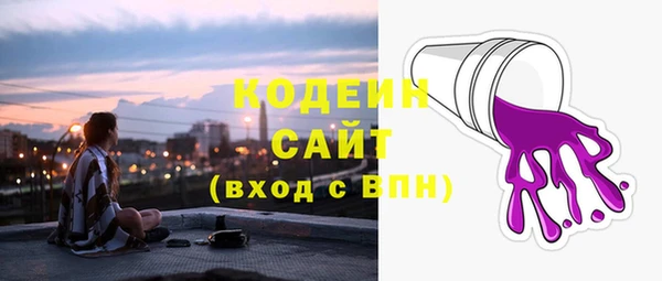 прущие грибы Краснотурьинск