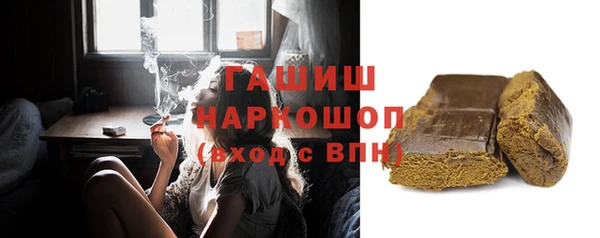 мдпв Краснослободск