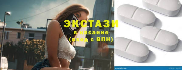 мдпв Краснослободск
