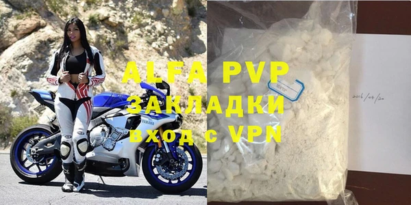 прущие грибы Краснотурьинск