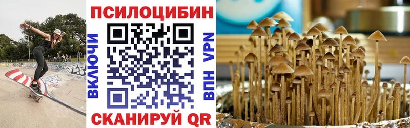 Псилоцибиновые грибы MAGIC MUSHROOMS  Купить где  Мариинский Посад 
